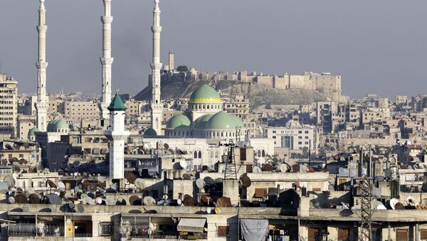 Вид на цитадель и президентскую мечеть в Алеппо  - سبوتنيك عربي