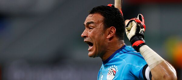 حارس منتخب مصر عصام الحضري - سبوتنيك عربي