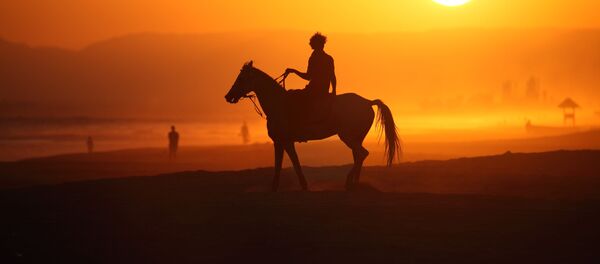 خيال الحصان، صلالة في عُمان- للمصور ستيورات دان المشارك في مسابقة National Geographic Traveller-2017 خيال الحصان، صلالة في عُمان- للمصور ستيورات دان المشارك في مسابقة National Geographic Traveller-2017 - سبوتنيك عربي