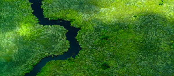 الرافد، جنوب أفريقيا - للمصور دانيال بورتون المشارك في مسابقة National Geographic Traveller-2017 الرافد، جنوب أفريقيا - للمصور دانيال بورتون المشارك في مسابقة National Geographic Traveller-2017 - سبوتنيك عربي