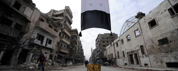 العلم السوري في حلب، سوريا 30 يناير/ كانون الثاني 2017 - سبوتنيك عربي