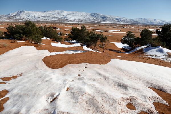 ثلوج تغطي الأطلس الصحراوي في شرق الجزائر، 25 يناير كانون الثاني 2017 - سبوتنيك عربي