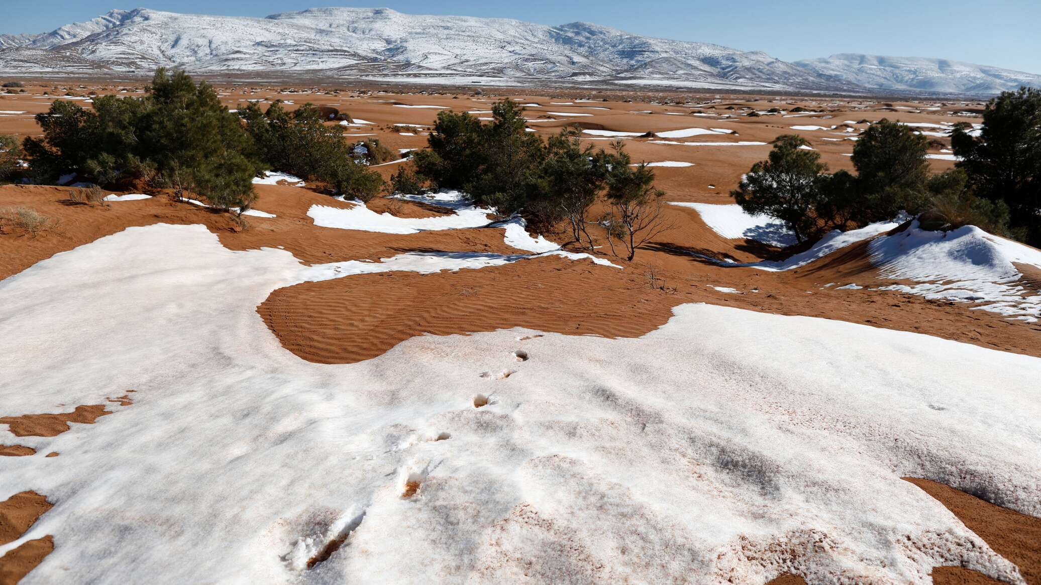 "السياحة الصحراوية"... هل تنجح الجزائر في جذب 1.5 مليون زائر بحلول 2028؟