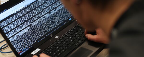 هاكرز - سبوتنيك عربي