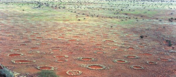 دوائر الجن - سبوتنيك عربي