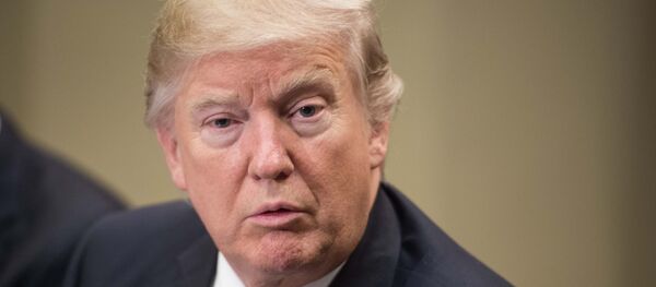 الرئيس الأمريكي دونالد ترامب - سبوتنيك عربي