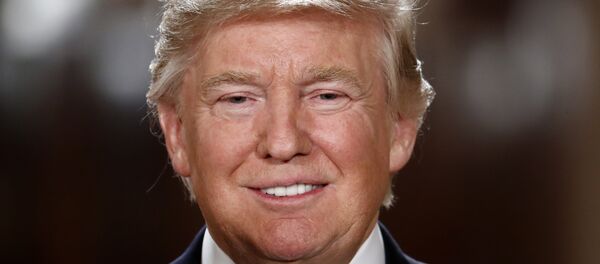 رئيس الولايات المتحدة الأمريكية دونالد ترامب - سبوتنيك عربي