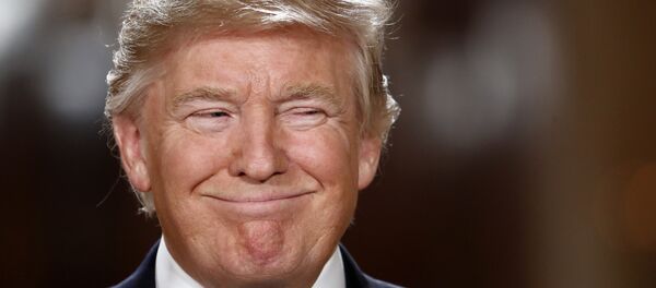 رئيس الولايات المتحدة الأمريكية دونالد ترامب - سبوتنيك عربي