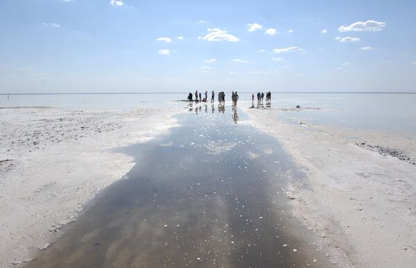بحيرة التون، منطقة فولغوغراد بحيرة التون، منطقة فولغوغراد - سبوتنيك عربي