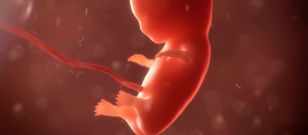 مضغة - سبوتنيك عربي