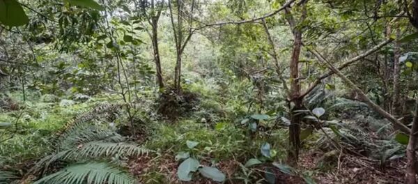 اعثر على الجنود - سبوتنيك عربي