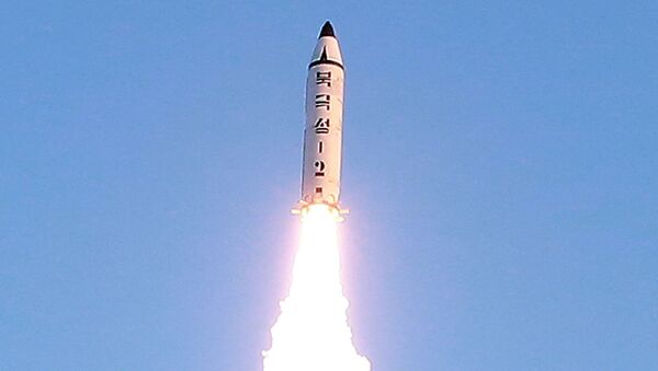 زعيم كوريا الشمالية يتابع عن قرب عملية اختبار لإطلاق صاروخ Pukguksong-2، بيونغيلنغ، كوريا الشمالية 13 فبراير/ شباط 2017 - سبوتنيك عربي