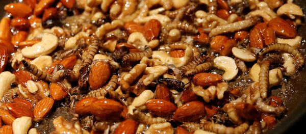 حلوى الحشرات - سبوتنيك عربي