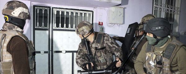 الشرطة التركية - سبوتنيك عربي