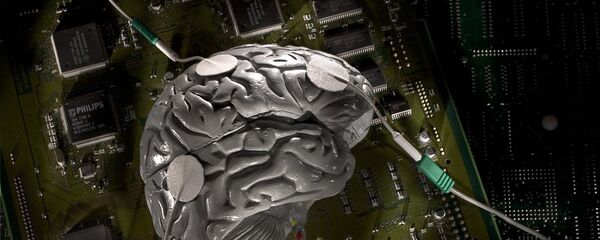الدماغ - سبوتنيك عربي