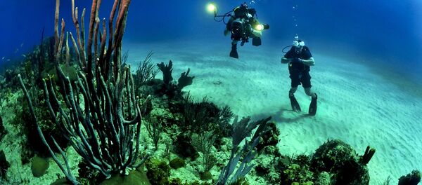 Ocean floor - سبوتنيك عربي