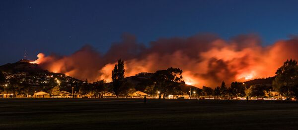 حرائق غابات - أرشيفية - سبوتنيك عربي