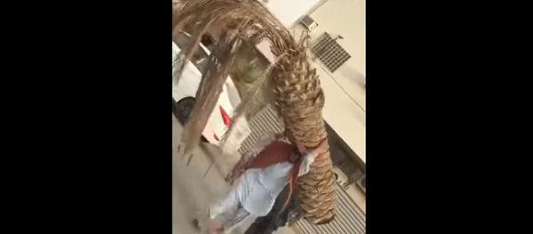 عامل باكستاني في السعودية - سبوتنيك عربي