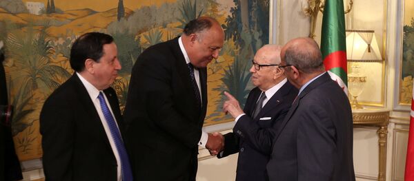 وزراء خارجية مصر وتونس والجزائر بجانب الرئيس التونسي الباجي قايد السبسي - سبوتنيك عربي