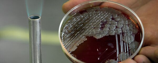 بكتيريا - سبوتنيك عربي