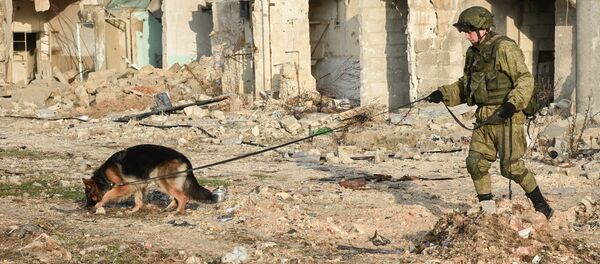 فريق من المهندسين التقنيين الروس لإزالة الألغام، التابع لقوات الجيش الروسية، في مدينة حلب، سوريا - سبوتنيك عربي