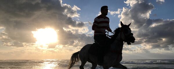 خيول - سبوتنيك عربي