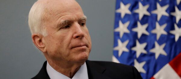 السيناتور جون ماكين - سبوتنيك عربي