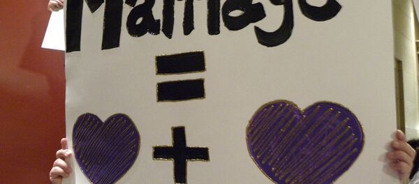 Protest against a constitutional amendment banning same sex marriage - سبوتنيك عربي