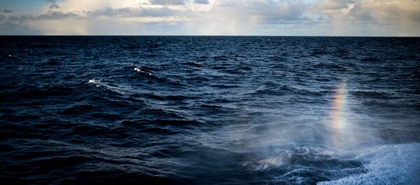 المحيط - سبوتنيك عربي