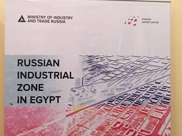 إقامة منطقة صناعية في مصر - سبوتنيك عربي