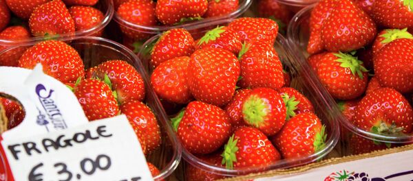 Strawberry - سبوتنيك عربي