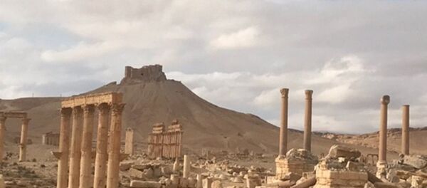 تدمر بعد تحريرها من داعش - سبوتنيك عربي