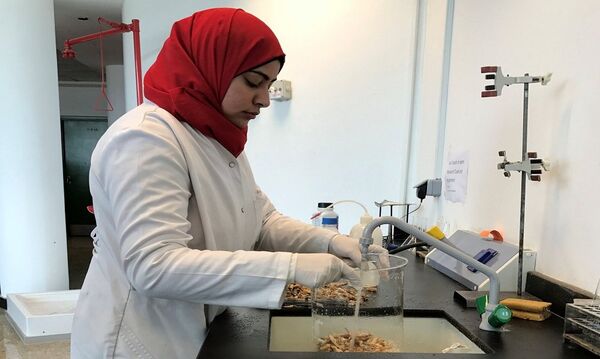 الجمبري الجمبري - سبوتنيك عربي