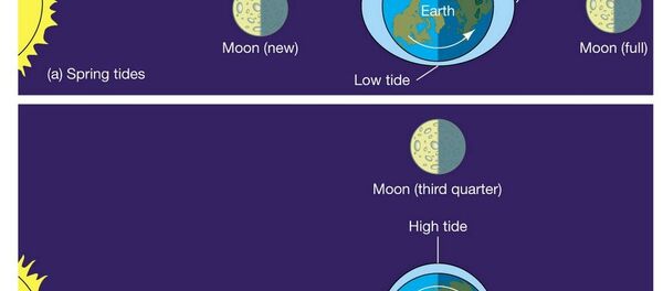 القمر والزلازل - سبوتنيك عربي