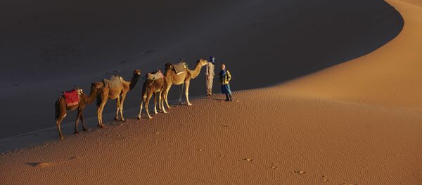 مرشد السياح يرافق قافلة من الجمال يركبها السياح في المرزوقة على طول طريق ألف قلعة في جبال الأطلس، المغرب 5 مارس/ آذار 2017 - سبوتنيك عربي