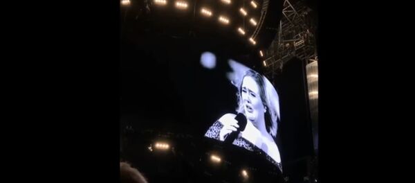 هجوم بعوضة على المطربة آديل - سبوتنيك عربي