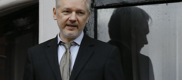 Wikileaks founder Julian Assange speaks from the balcony of the Ecuadorean Embassy in London (File) - سبوتنيك عربي