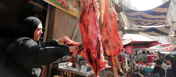 جزارة مصرية - سبوتنيك عربي