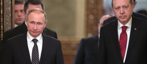 االرئيس الروسي والتركي - سبوتنيك عربي