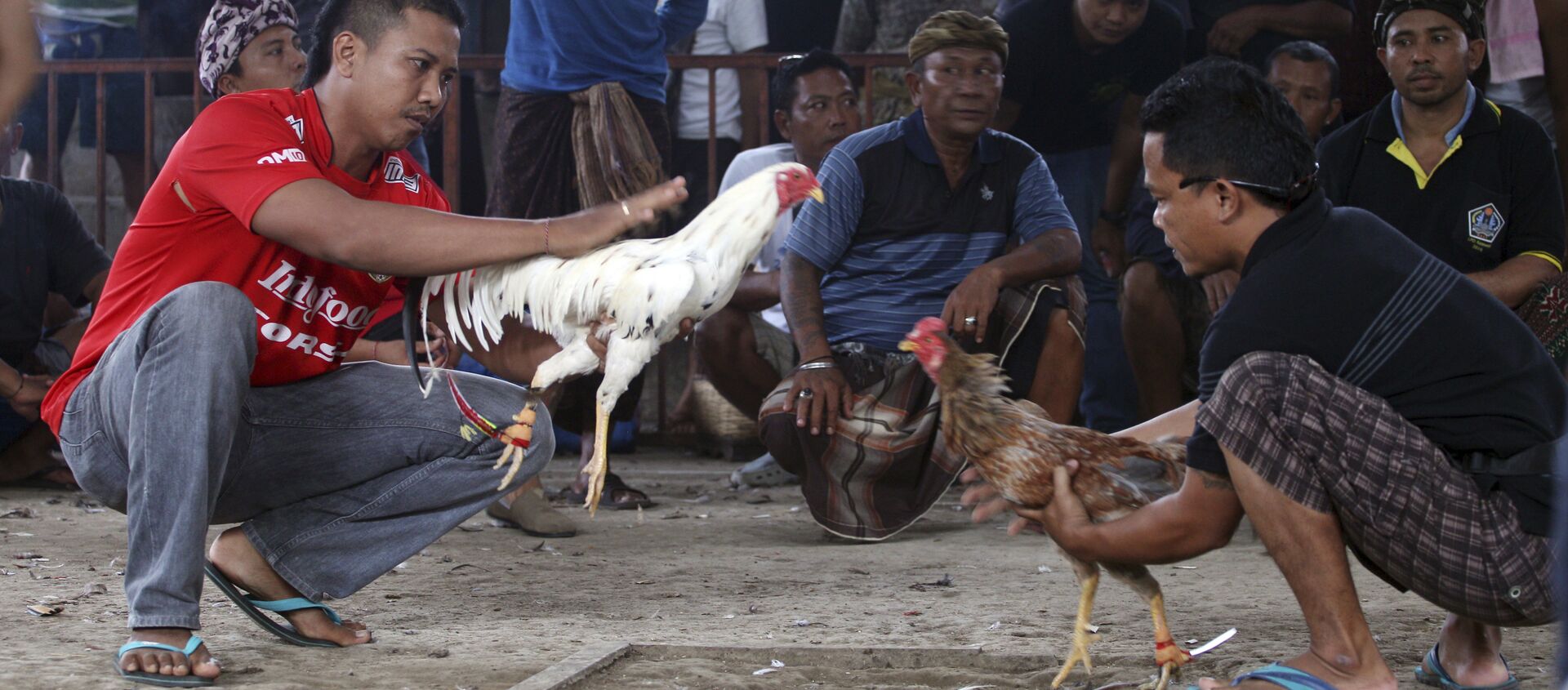 صراع الديكة في إندونيسيا - سبوتنيك عربي, 1920, 11.03.2017