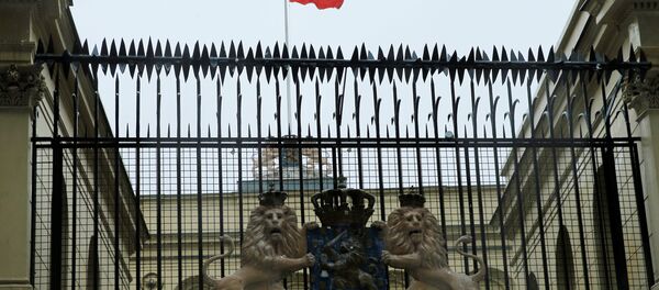 رفع العلم التركي على السفارة الهولندية - سبوتنيك عربي