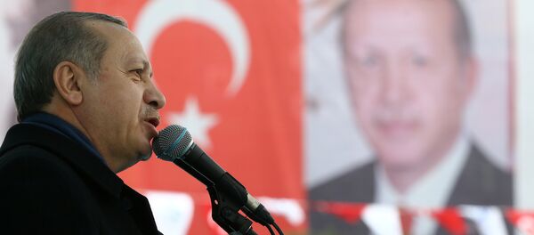 اردوغان - سبوتنيك عربي