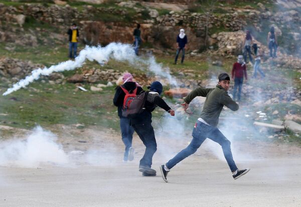 فلسطين - سبوتنيك عربي