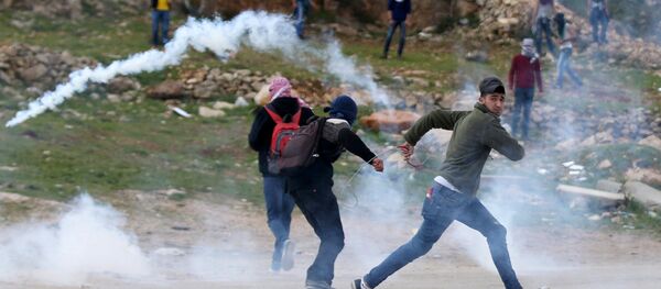 فلسطين - سبوتنيك عربي