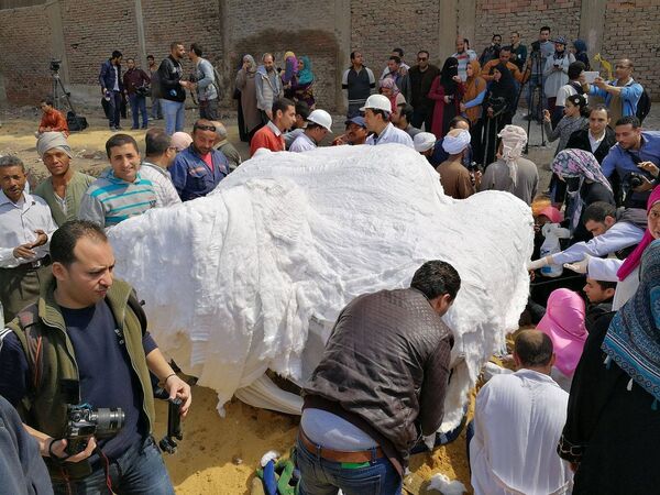 تغطية تمثال رمسيس الثاني بالقطن - سبوتنيك عربي