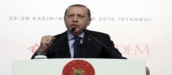 الرئيس التركي رجب طيب أردوغان الرئيس التركي رجب طيب أردوغان - سبوتنيك عربي