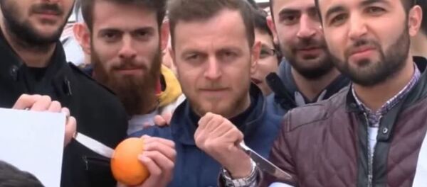 مظاهرات تركية ضد هولندا - سبوتنيك عربي