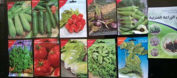 دير الزور - سبوتنيك عربي