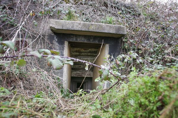 مغارة في فرنسا - سبوتنيك عربي