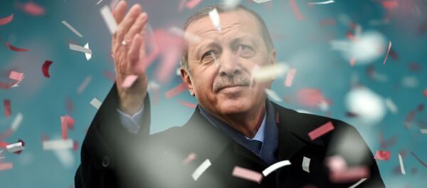 الرئيس التركي رجب طيب إردوغان خلال مظاهرة في اسطنبول تندد بأفعال هولندا الأخيرة، تركيا 11 مارس/ آذار 2017 - سبوتنيك عربي